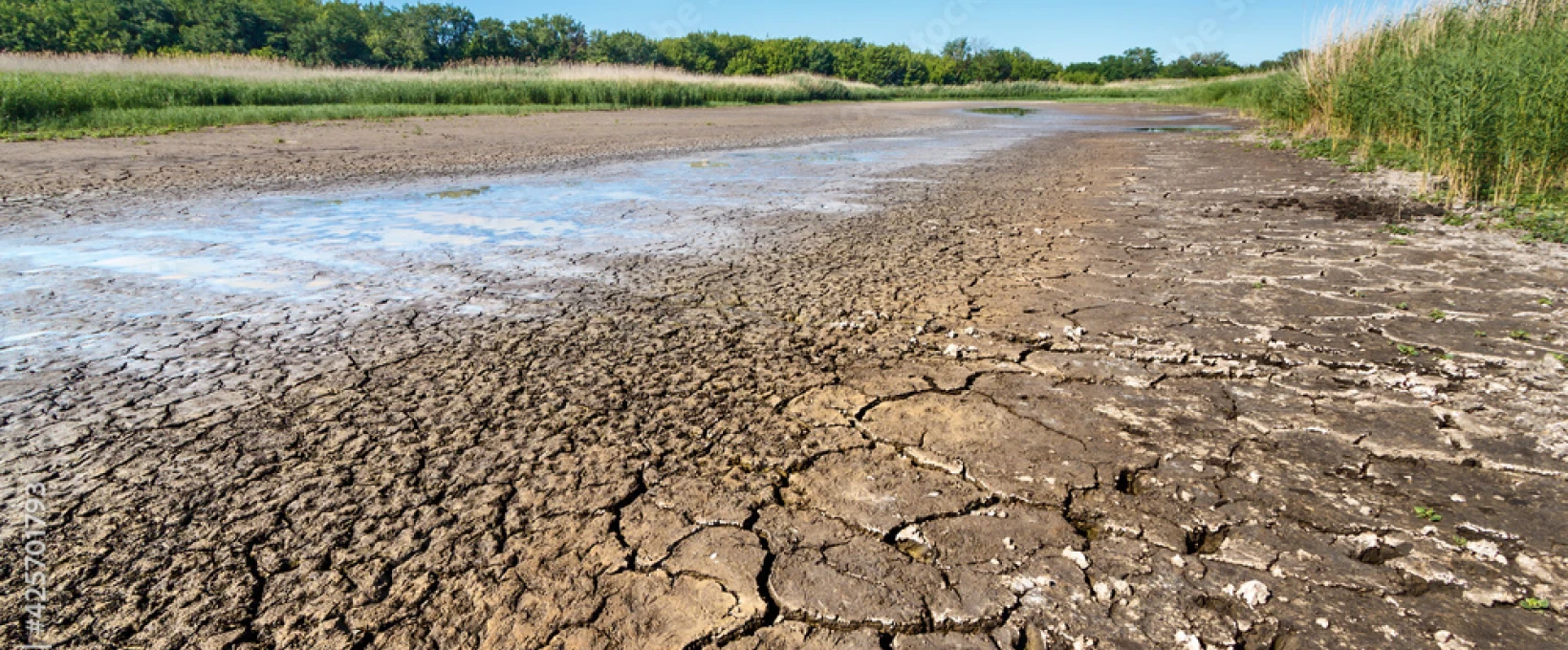 Rivière asséchée